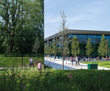Campus Herodesktop(1800Px460px) 23
