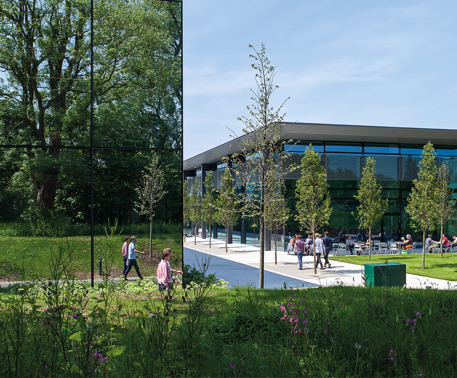 Research Herodesktop(1800Px460px) 23 Copy