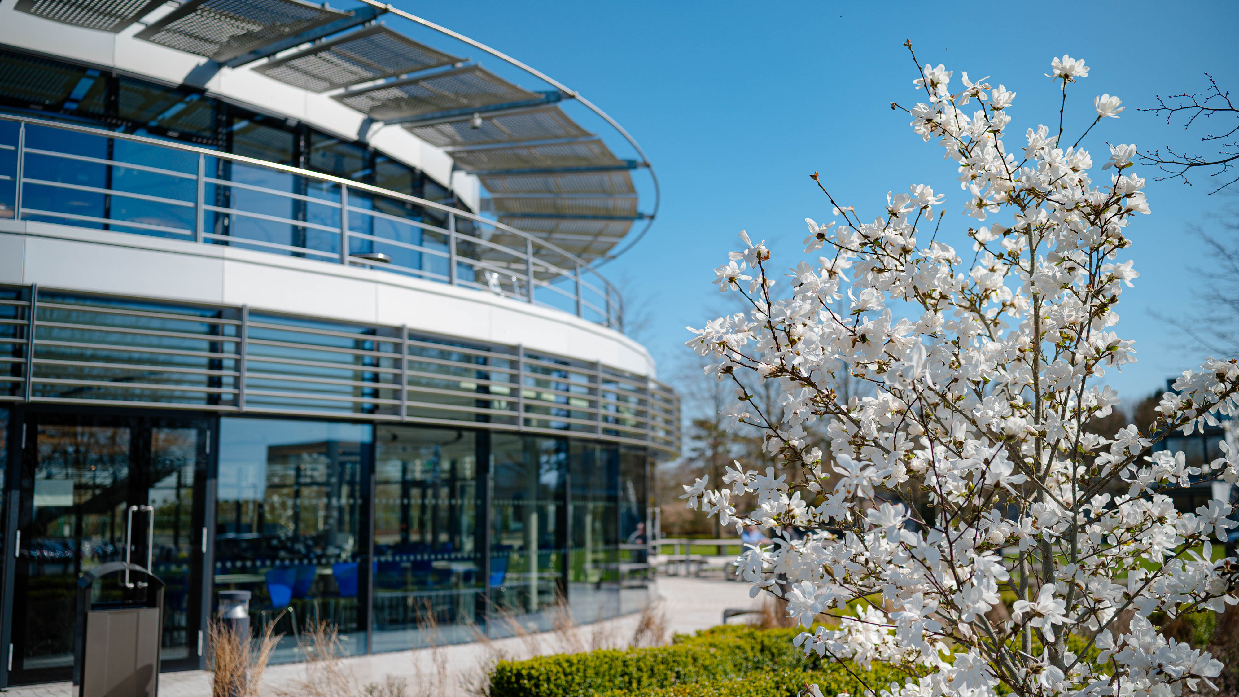 SHOTAWAY DYSON APRIL25 150 2