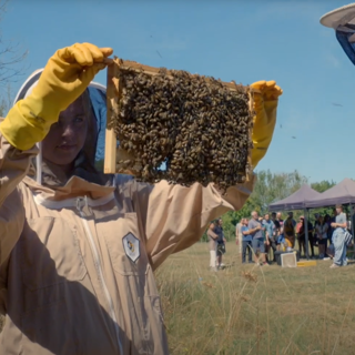 Beekeeping Society
